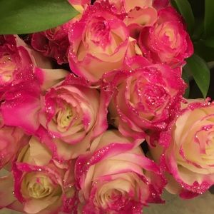 Meet your Posher, Aleisha